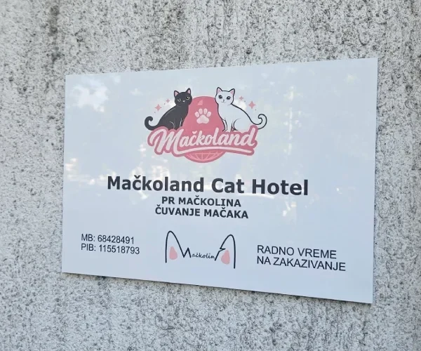 Zašto su mačke odvojene?