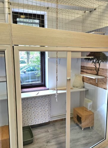 Savana Apartman